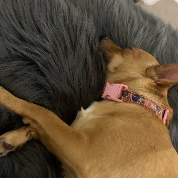 Meet your Posher, Bre - Picture 1 of 1